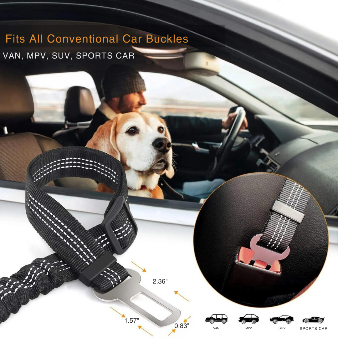 Dog Seat Belt