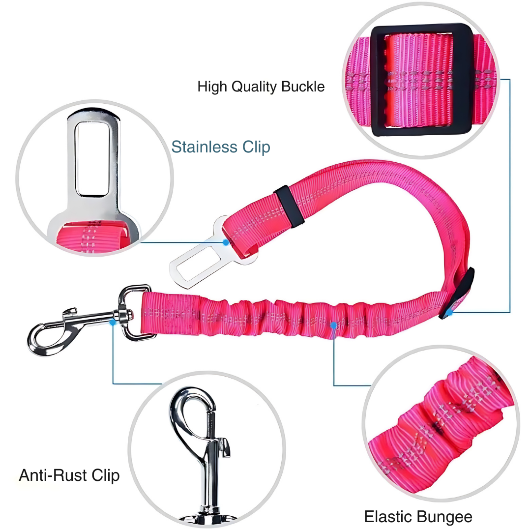 Dog Seat Belt