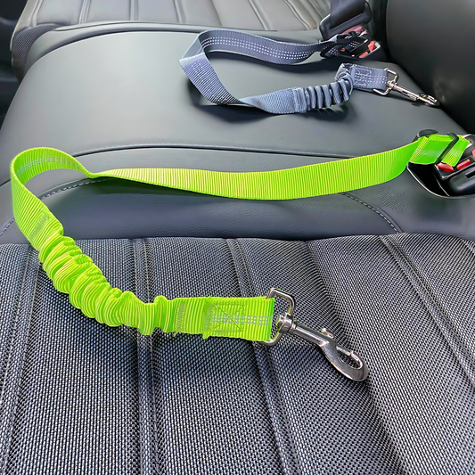 Dog Seat Belt