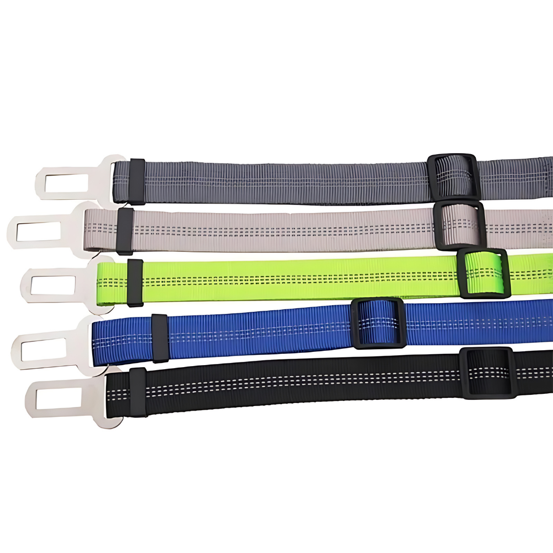Dog Seat Belt