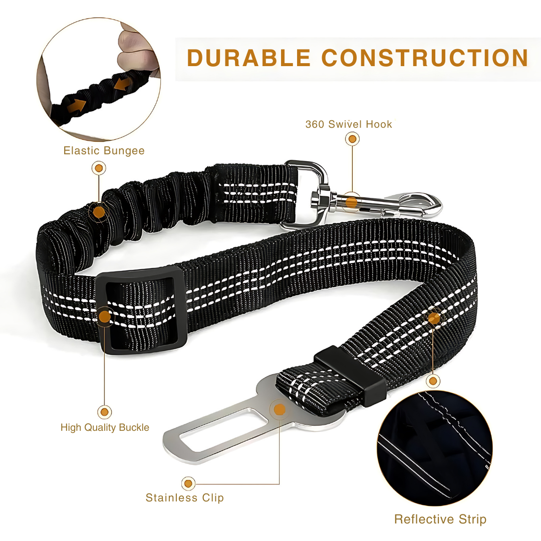 Dog Seat Belt