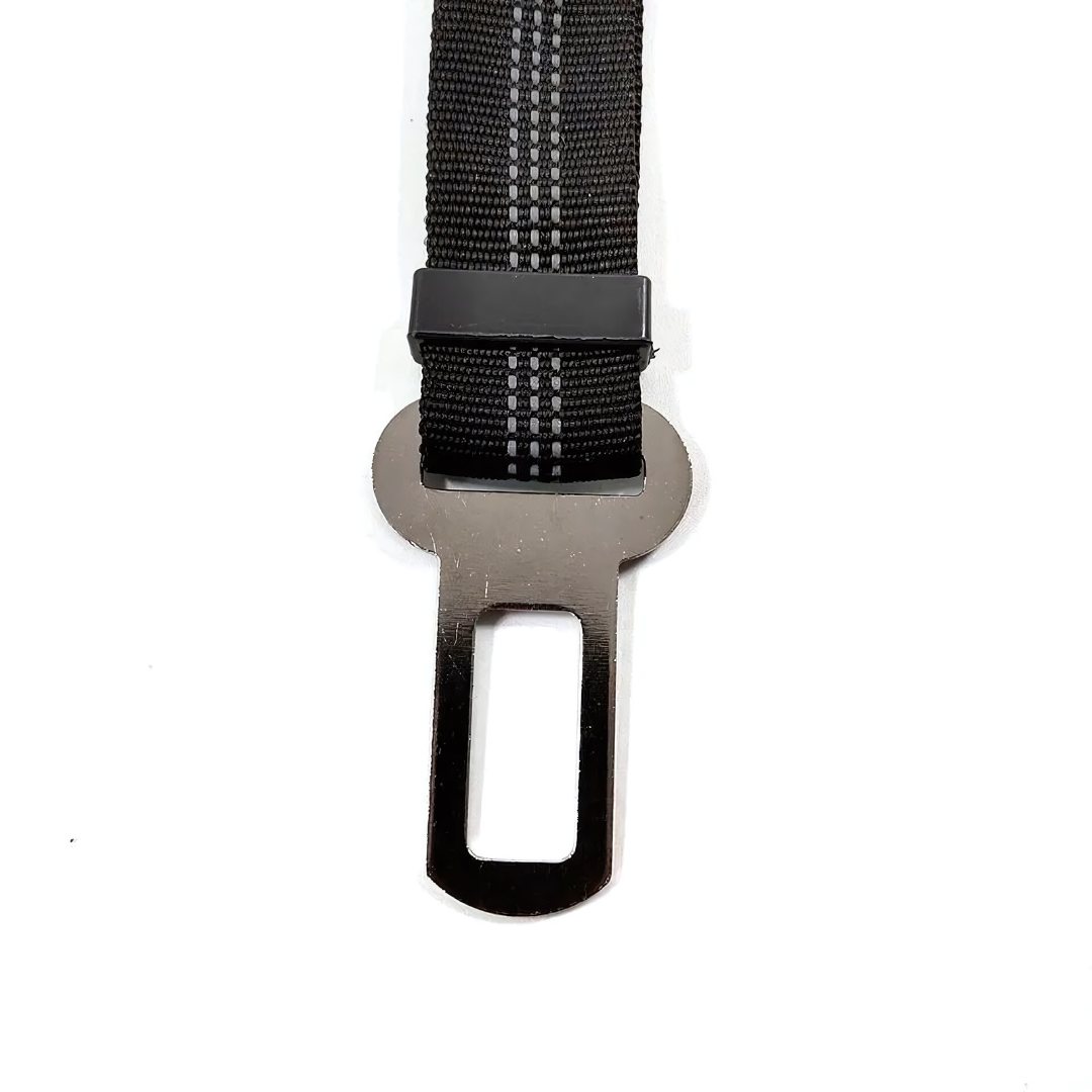 Dog Seat Belt