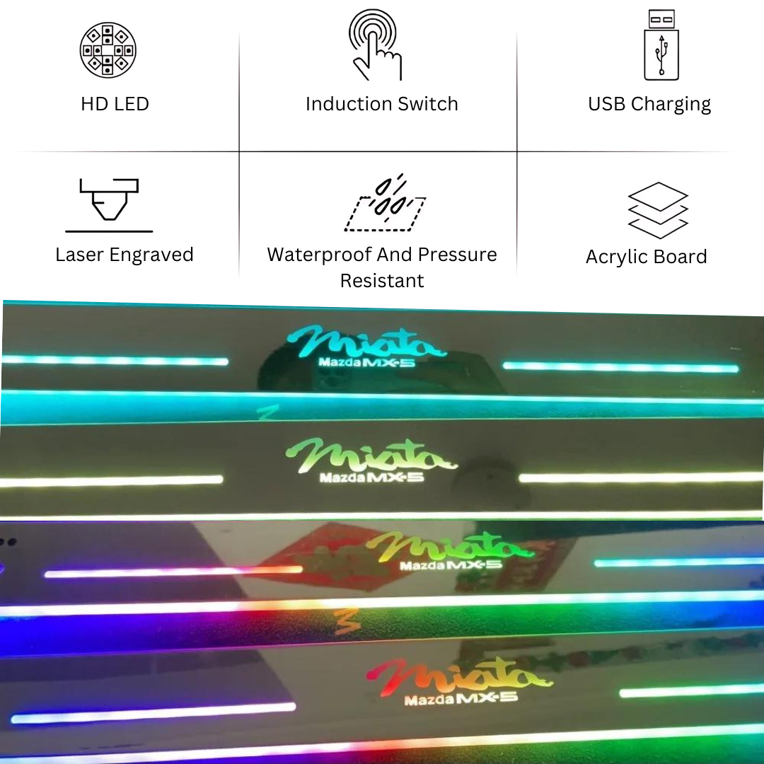 Illuminated LED Car Door Sill Lights
